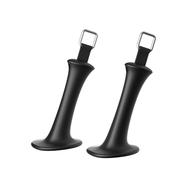 Speediance Ski Handles 2